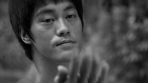The Legend Of Bruce Lee (2008)