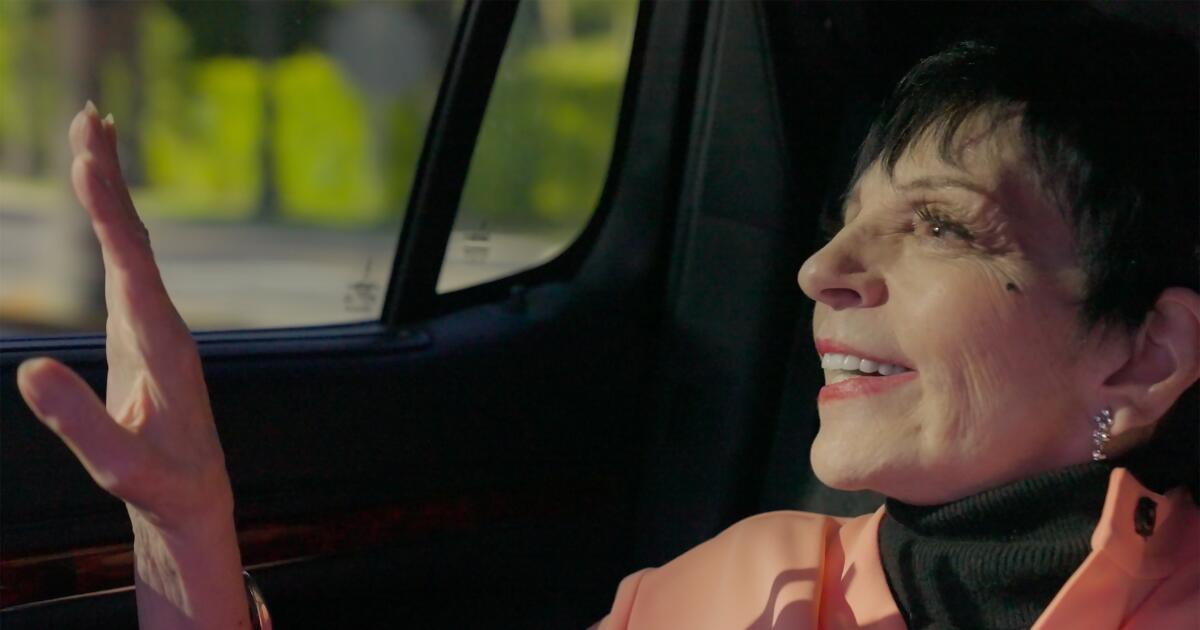 Liza A Truly Terrific Absolutely True Story (2024)