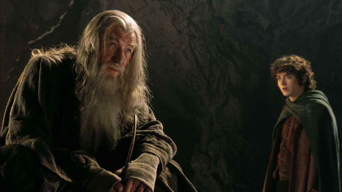 The Lord Of The Rings The Fellowship Of The Ring (2001)