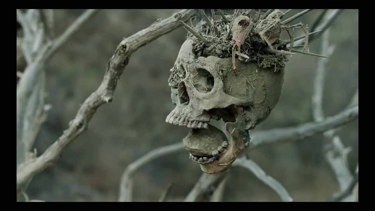 Bone Tomahawk (2015)