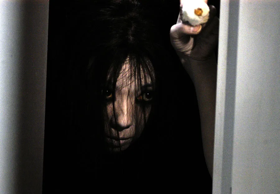The Grudge (2004)