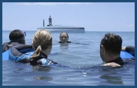 The Reef (2010)