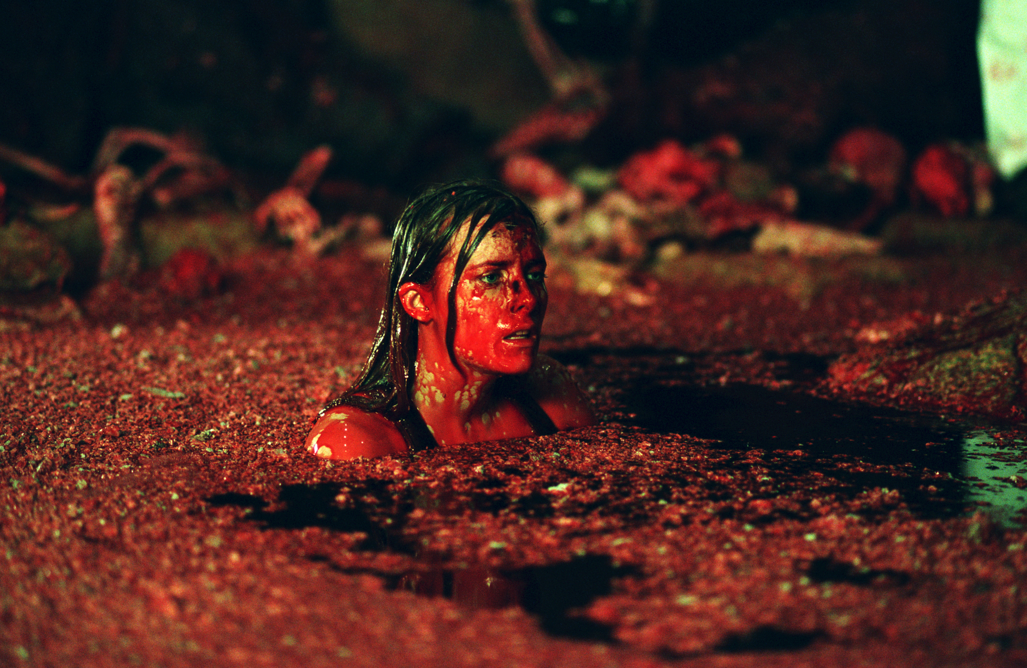 Descent 2005