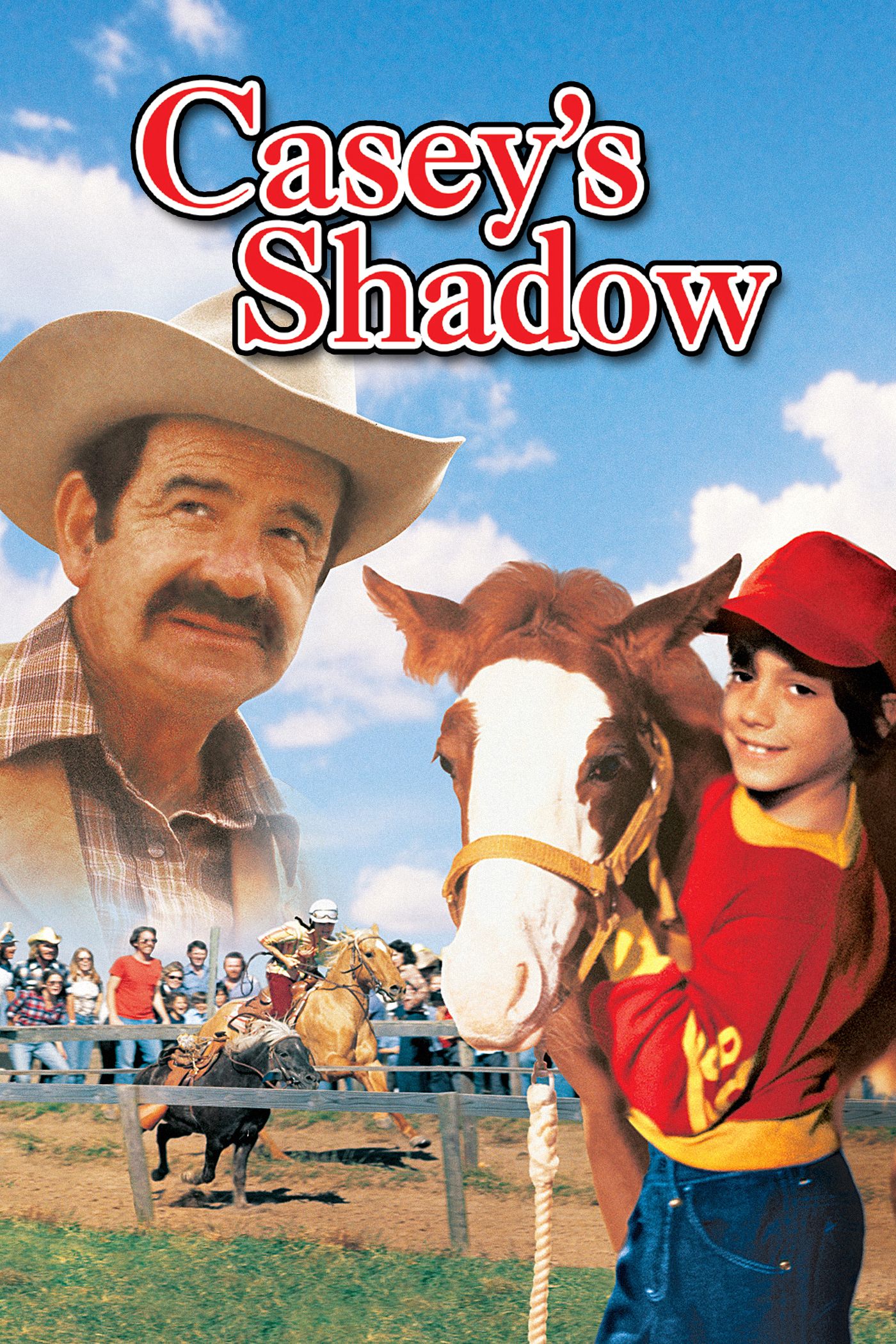 Casey's Shadow 1978