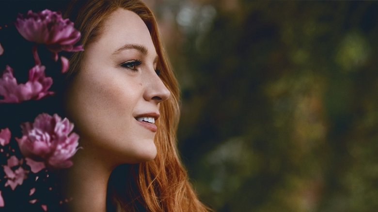 It Ends With Us 2024