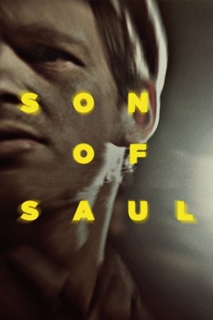 Son of Saul 2015