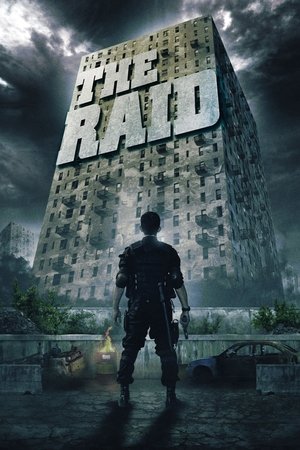 The Raid Redemption 2011