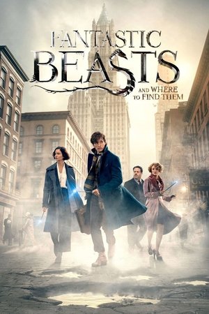 Fantastic Beasts and Where to Find Them 2016
