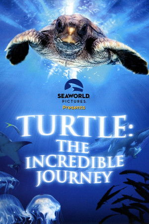 Turtle: The Incredible Journey 2008