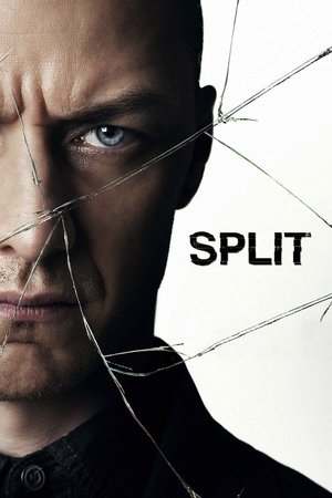 Split 2016