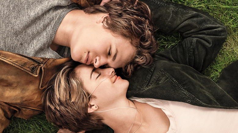 The Fault in Our Stars 2014