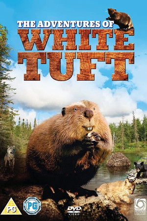 White Tuft, the Little Beaver 2008