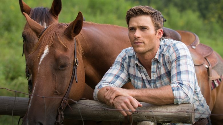 The Longest Ride 2015